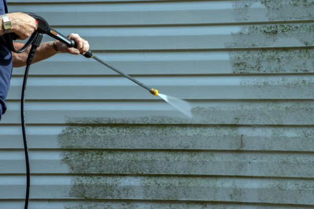 Best Deck Cleaning Services  in Del Norte, CO