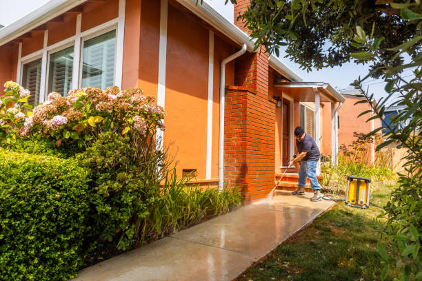 Best Affordable Pressure Washing  in Del Norte, CO