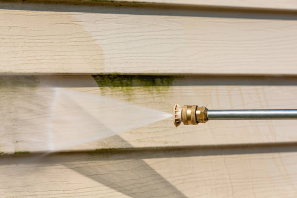 Best Exterior Home Cleaning  in Del Norte, CO