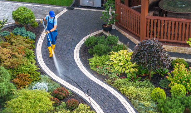 Best Best Pressure Washing Companies  in Del Norte, CO